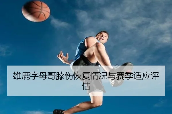 雄鹿字母哥膝伤恢复情况与赛季适应评估 - loljiangcai
